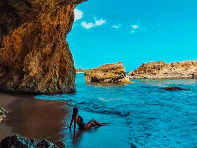 Survival Beach